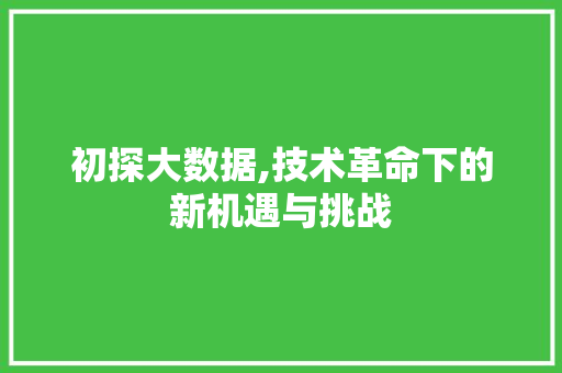 初探大数据,技术革命下的新机遇与挑战