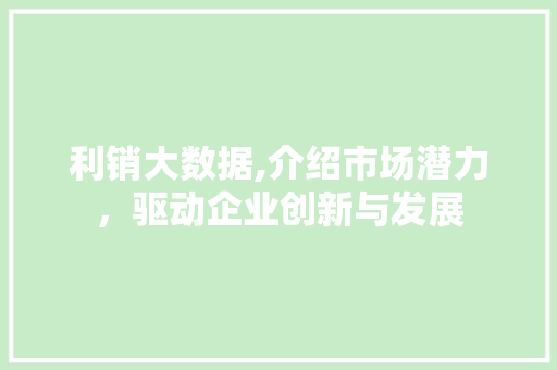利销大数据,介绍市场潜力，驱动企业创新与发展