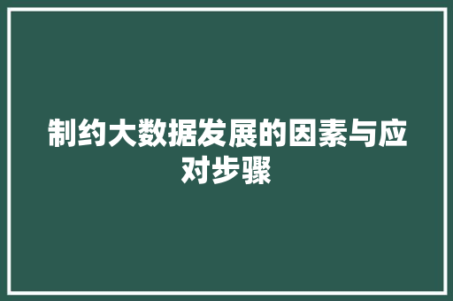 制约大数据发展的因素与应对步骤