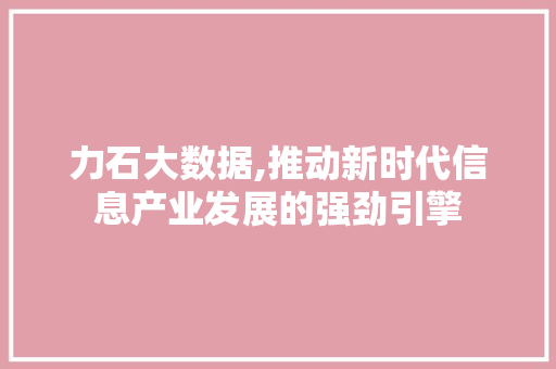 力石大数据,推动新时代信息产业发展的强劲引擎