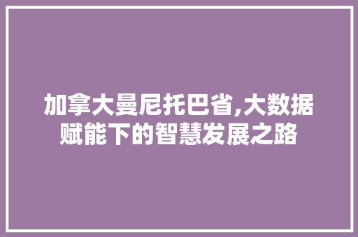 加拿大曼尼托巴省,大数据赋能下的智慧发展之路