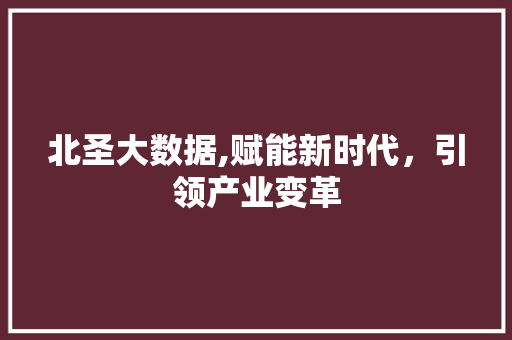北圣大数据,赋能新时代，引领产业变革