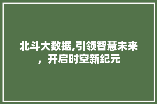 北斗大数据,引领智慧未来，开启时空新纪元