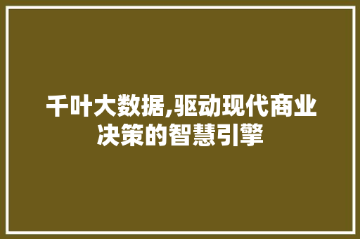 千叶大数据,驱动现代商业决策的智慧引擎