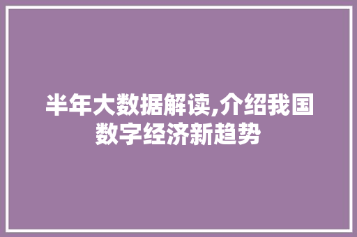 半年大数据解读,介绍我国数字经济新趋势