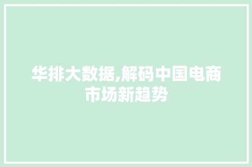 华排大数据,解码中国电商市场新趋势
