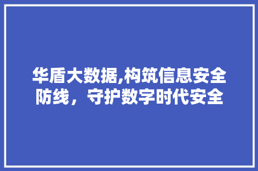 华盾大数据,构筑信息安全防线，守护数字时代安全