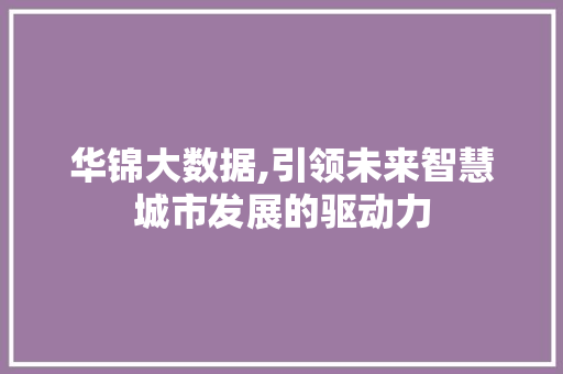华锦大数据,引领未来智慧城市发展的驱动力