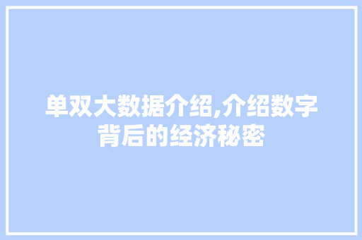 单双大数据介绍,介绍数字背后的经济秘密