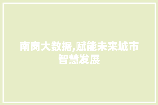 南岗大数据,赋能未来城市智慧发展