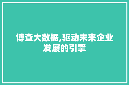 博查大数据,驱动未来企业发展的引擎