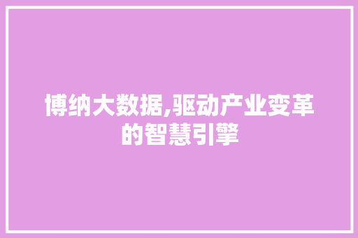 博纳大数据,驱动产业变革的智慧引擎
