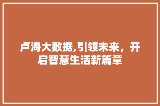 卢海大数据,引领未来，开启智慧生活新篇章