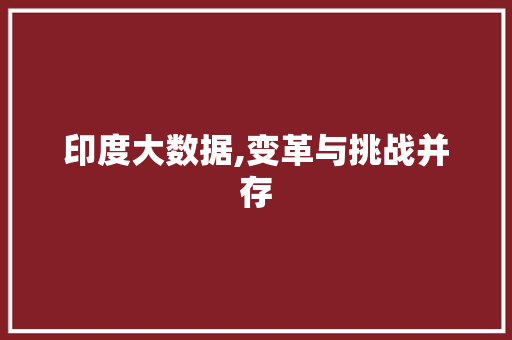 印度大数据,变革与挑战并存