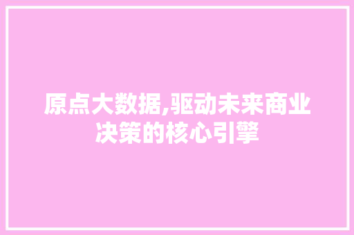 原点大数据,驱动未来商业决策的核心引擎