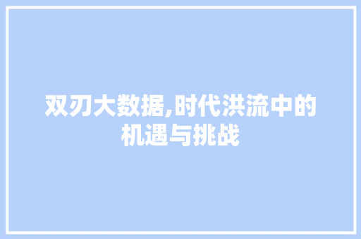双刃大数据,时代洪流中的机遇与挑战