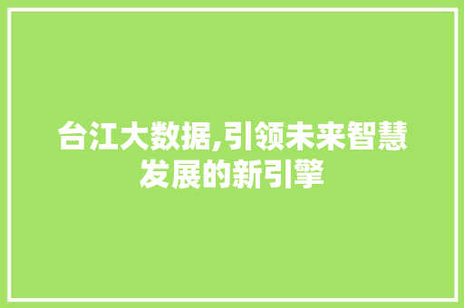 台江大数据,引领未来智慧发展的新引擎