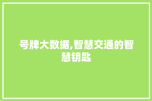 号牌大数据,智慧交通的智慧钥匙