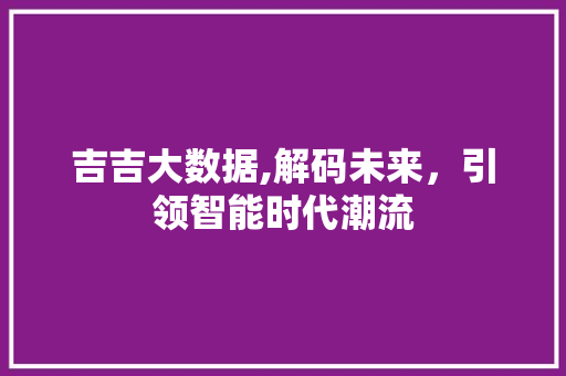 吉吉大数据,解码未来，引领智能时代潮流