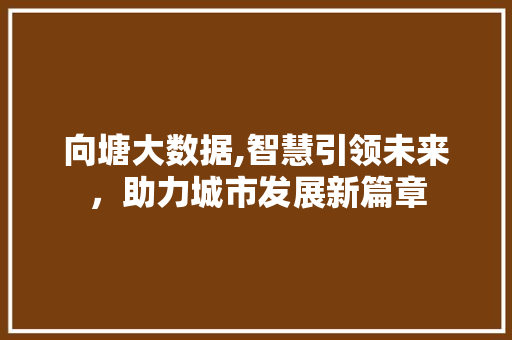 向塘大数据,智慧引领未来，助力城市发展新篇章