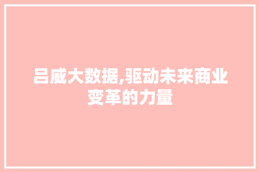 吕威大数据,驱动未来商业变革的力量