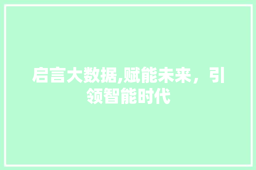 启言大数据,赋能未来，引领智能时代