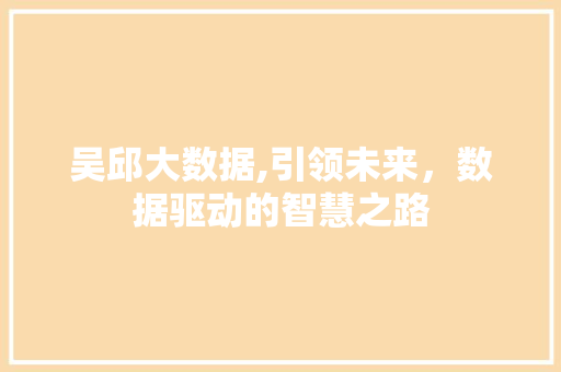 吴邱大数据,引领未来，数据驱动的智慧之路