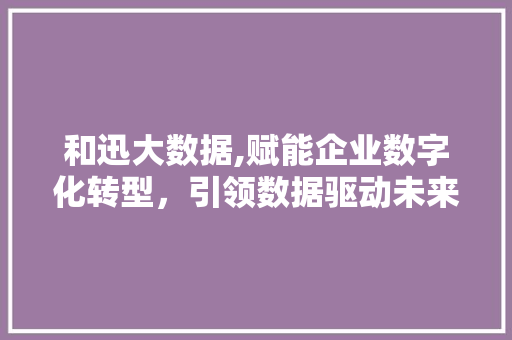 和迅大数据,赋能企业数字化转型，引领数据驱动未来