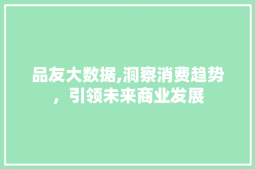 品友大数据,洞察消费趋势，引领未来商业发展