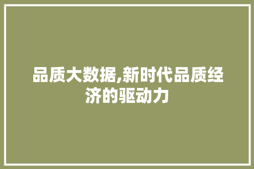 品质大数据,新时代品质经济的驱动力