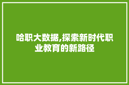哈职大数据,探索新时代职业教育的新路径