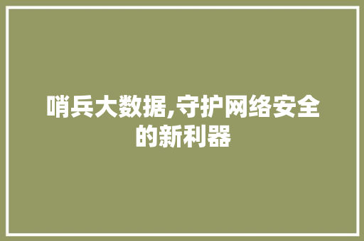 哨兵大数据,守护网络安全的新利器