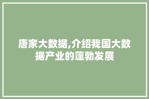 唐家大数据,介绍我国大数据产业的蓬勃发展