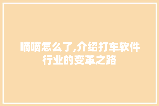 嘀嘀怎么了,介绍打车软件行业的变革之路 花朵知识