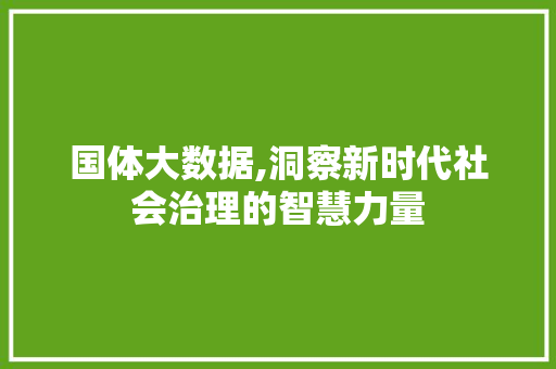 国体大数据,洞察新时代社会治理的智慧力量