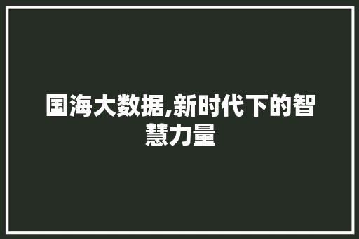 国海大数据,新时代下的智慧力量