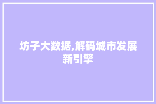 坊子大数据,解码城市发展新引擎 坊子大数据,解码城市发展新引擎