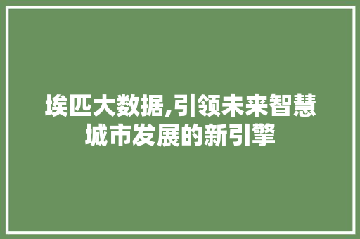 埃匹大数据,引领未来智慧城市发展的新引擎