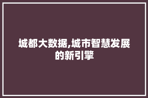 城都大数据,城市智慧发展的新引擎 城都大数据,城市智慧发展的新引擎