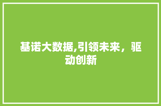 基诺大数据,引领未来，驱动创新