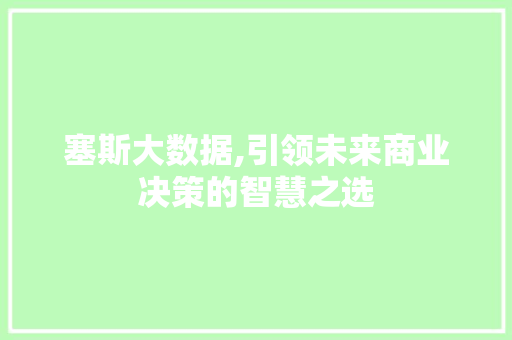 塞斯大数据,引领未来商业决策的智慧之选