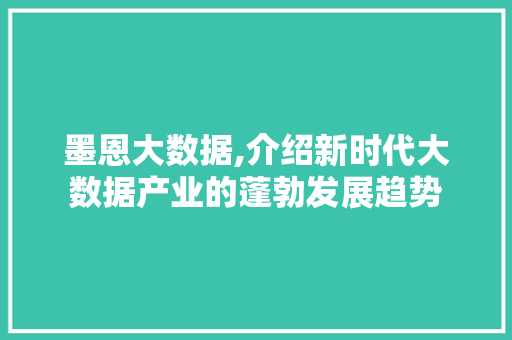墨恩大数据,介绍新时代大数据产业的蓬勃发展趋势