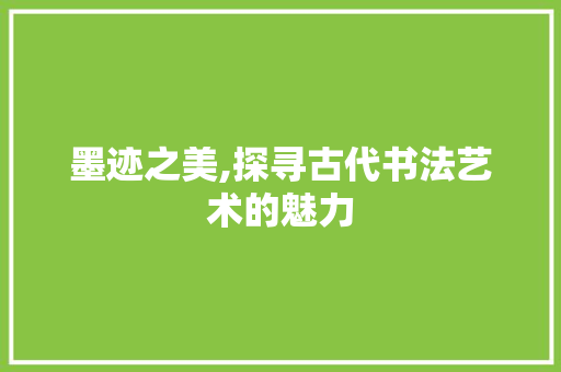 墨迹之美,探寻古代书法艺术的魅力