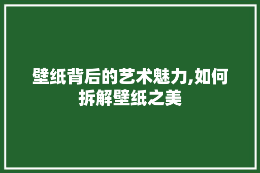 壁纸背后的艺术魅力,如何拆解壁纸之美