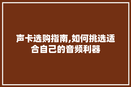 声卡选购指南,如何挑选适合自己的音频利器
