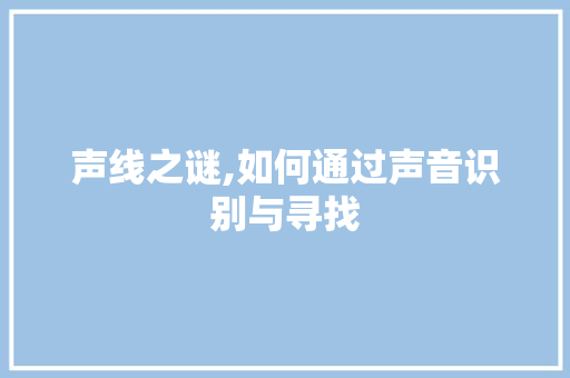 声线之谜,如何通过声音识别与寻找