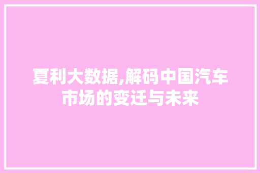 夏利大数据,解码中国汽车市场的变迁与未来