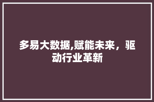 多易大数据,赋能未来，驱动行业革新