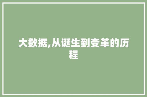 大数据,从诞生到变革的历程