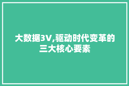 大数据3V,驱动时代变革的三大核心要素